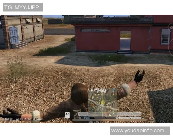 和平精英战术分析：深入探讨IG战队的快速进攻策略与执行技巧